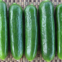 Cucumber
