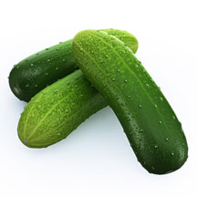 Cucumber